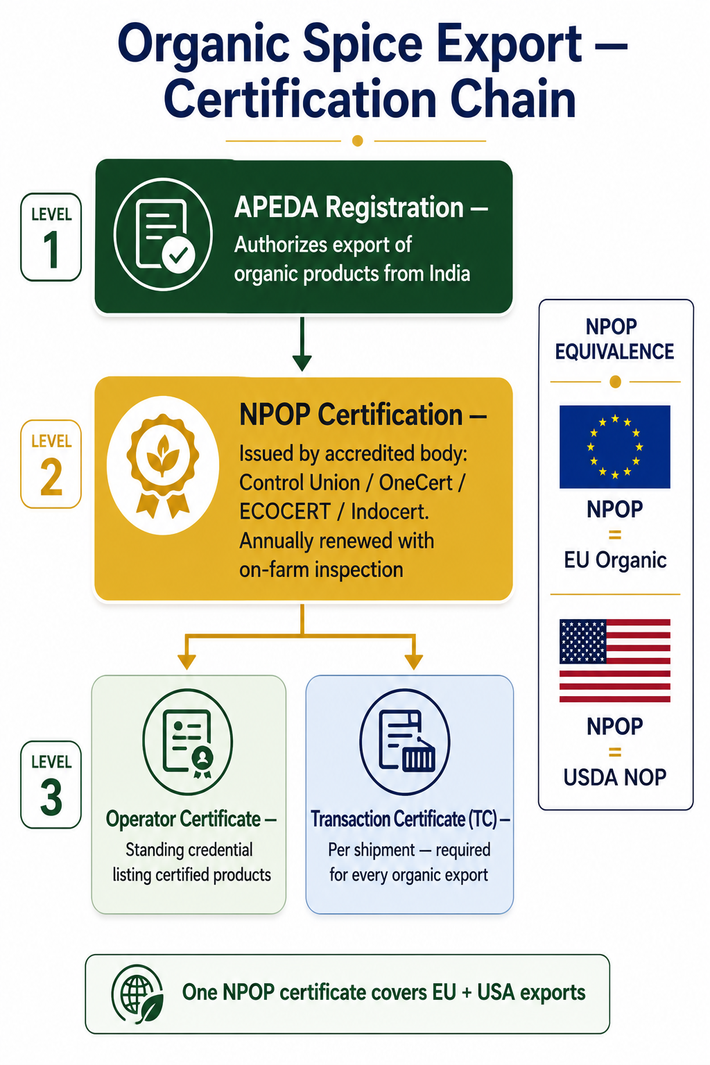 APEDA NPOP organic certification chain